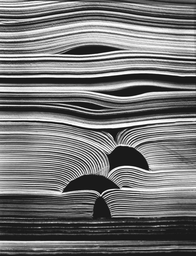 Visual "Reading between the data": alt text and Google Images
