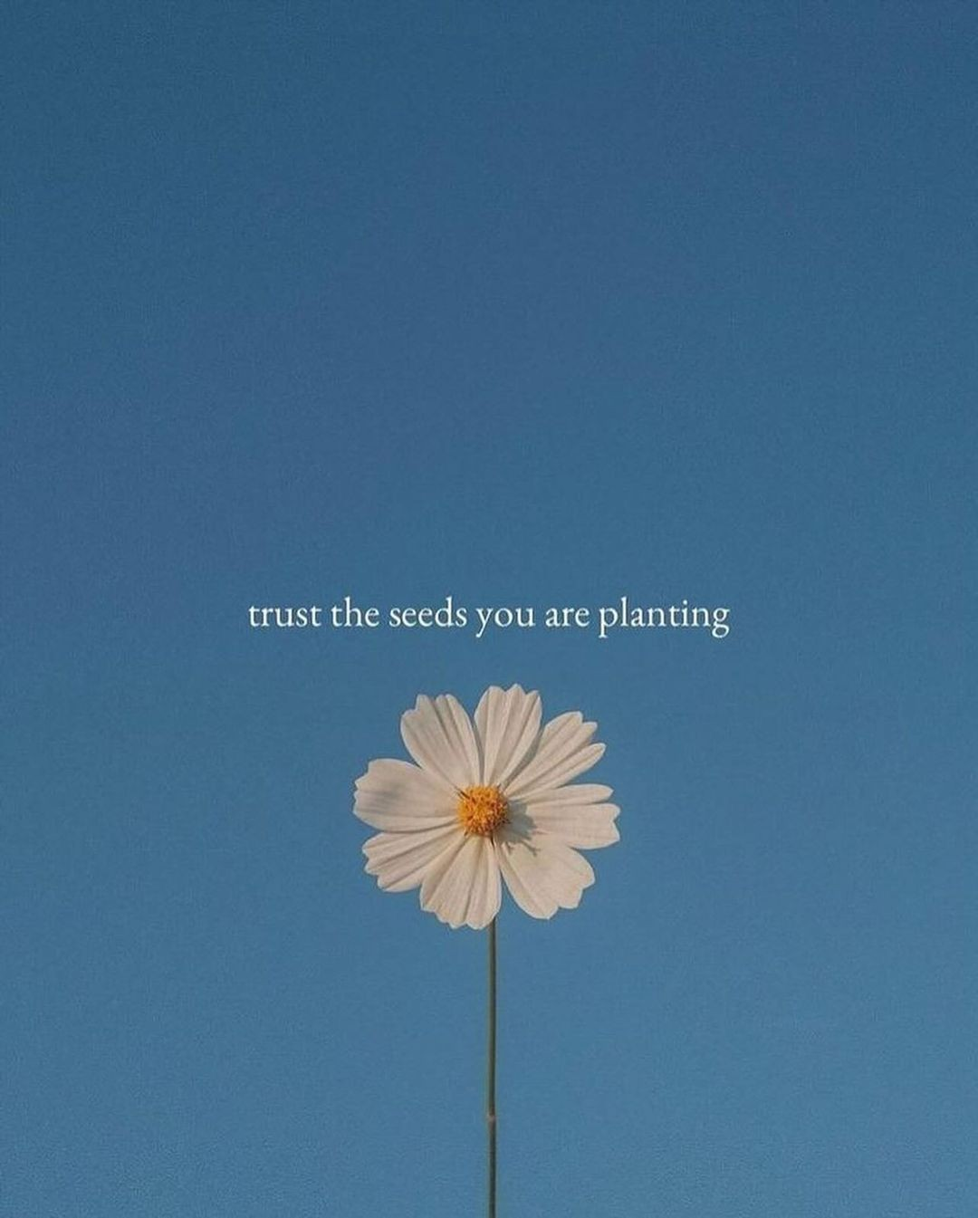@selfcarewithwall
