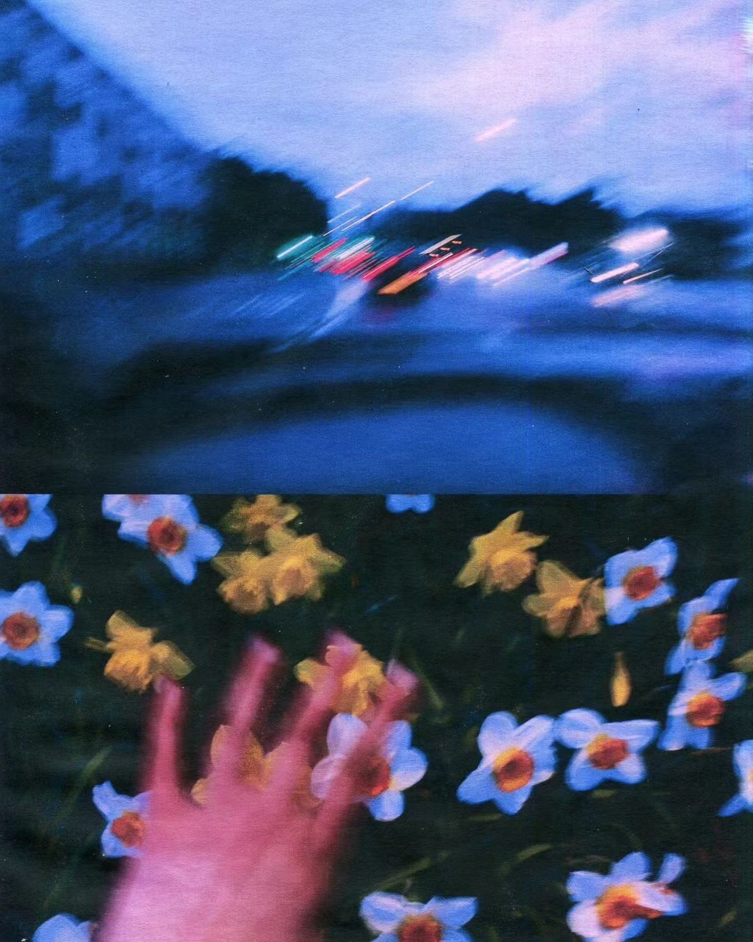NIGHT DRIVE, DAFFODILS, watercolors on photographs