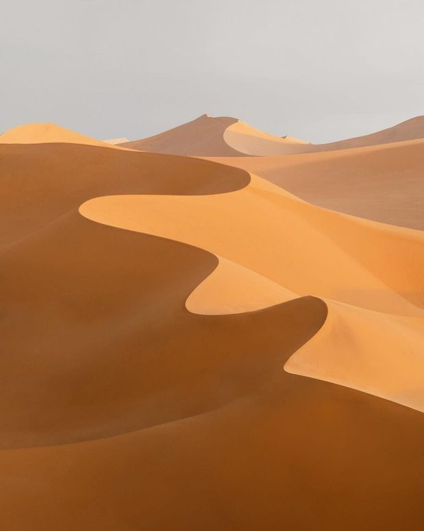 FOMO and Drop Strategies: Four Schools of Scarcity
