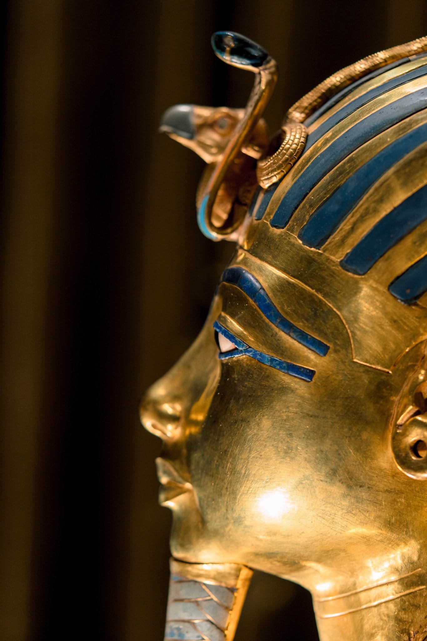Pharaoh's Newsletter