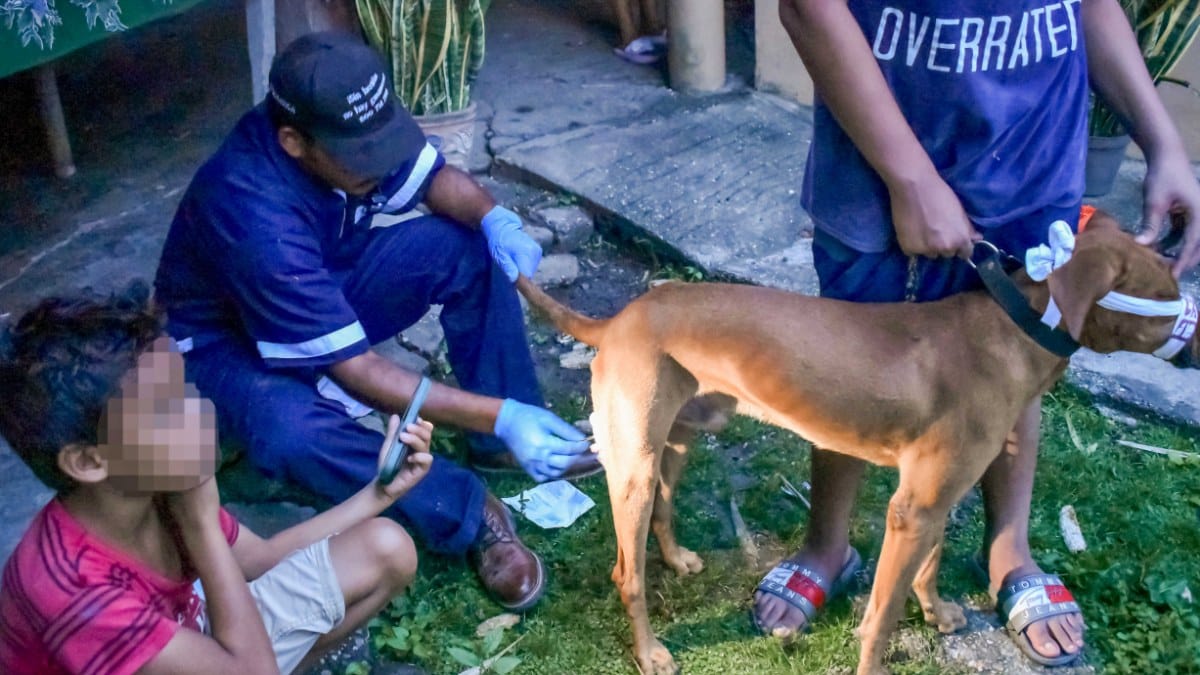 Contención al gremio de mascotas domésticas.