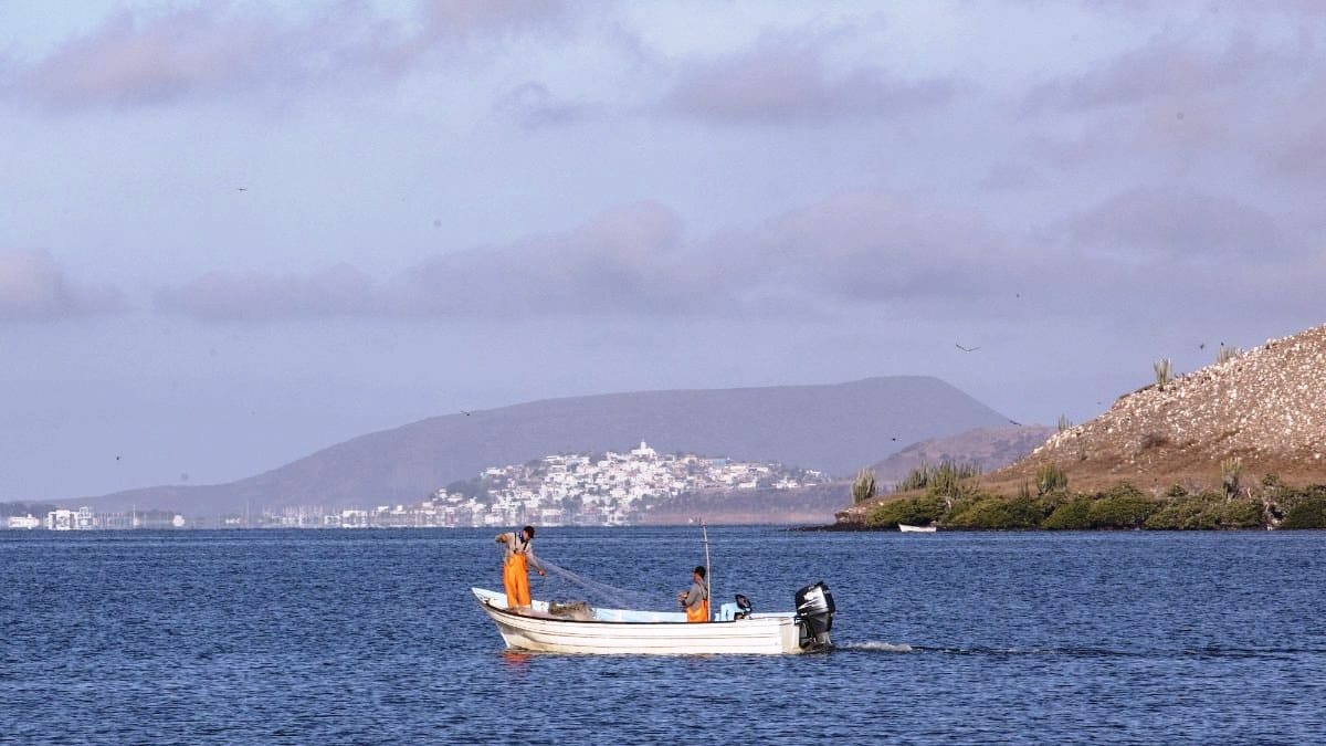 Riesgo para comunidades que viven de la bahía.