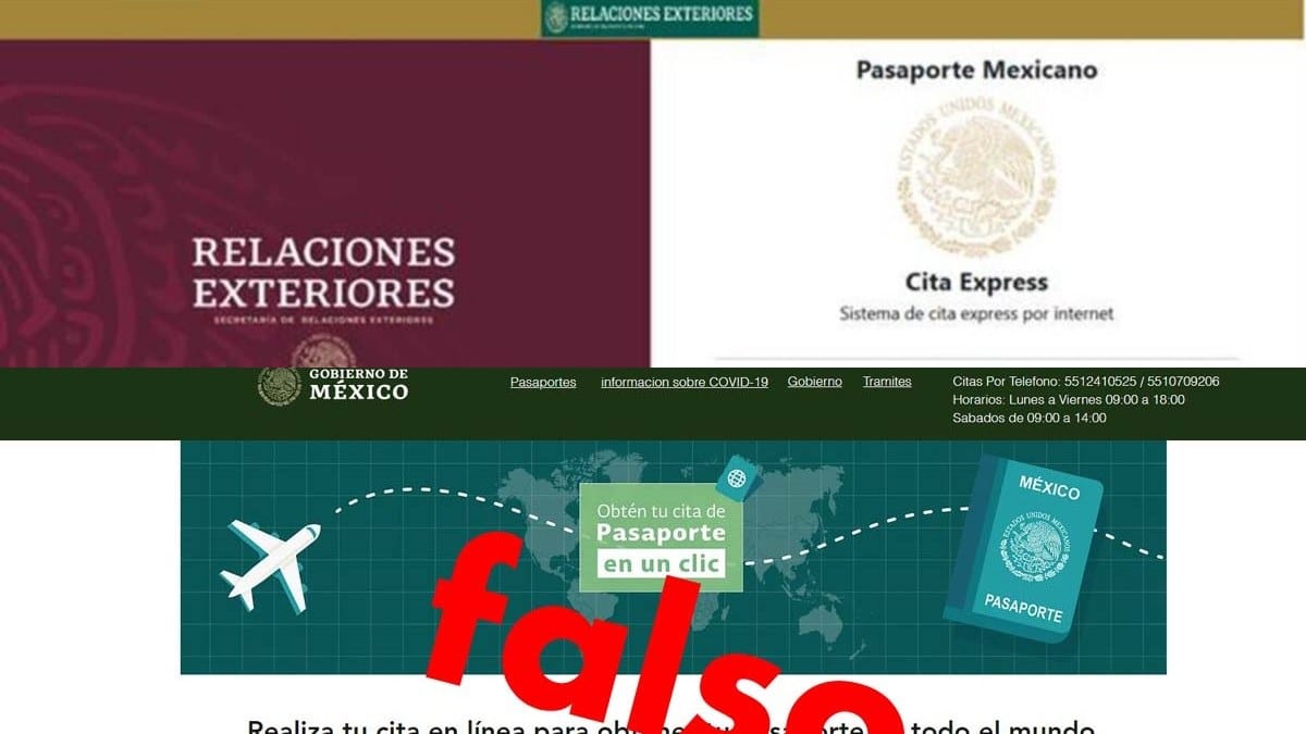 Páginas de pasaporte falsas.