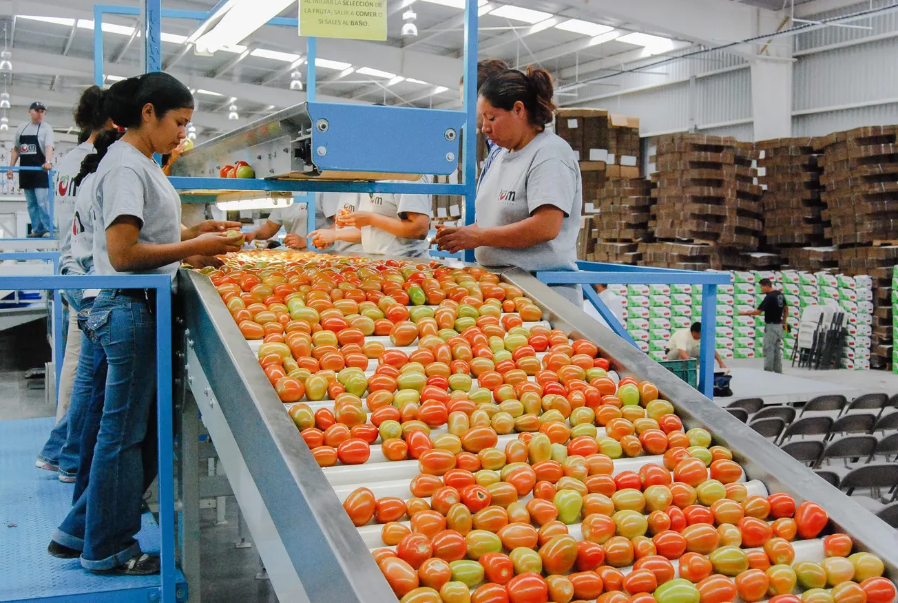 México aumenta en 22% superávit de la balanza agroalimentaria a mayo, ante récord exportador