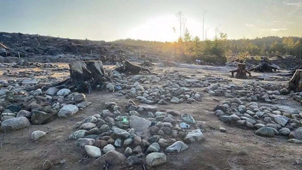 Estos círculos de piedra esconden un perturbador secreto de la más remota antigüedad