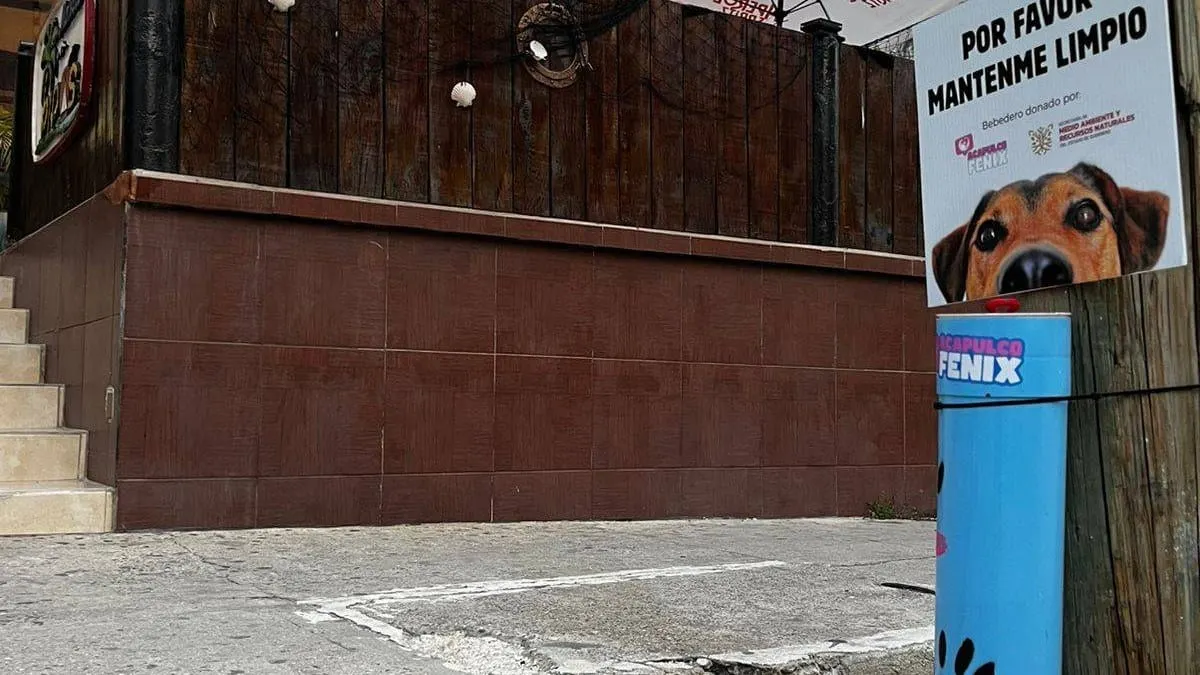 Instalan bebederos en Acapulco para apoyar a animales callejeros