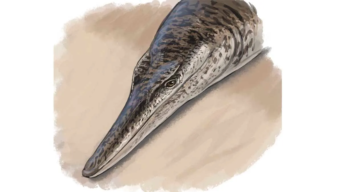 Descubren una nueva especie de cocodrilo marino del Cretácico en Alemania