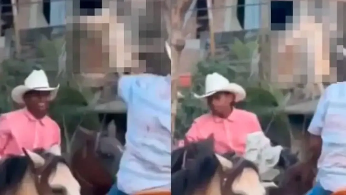 Maltrato animal: van contra cruel tradición en Costa Chica de Guerrero