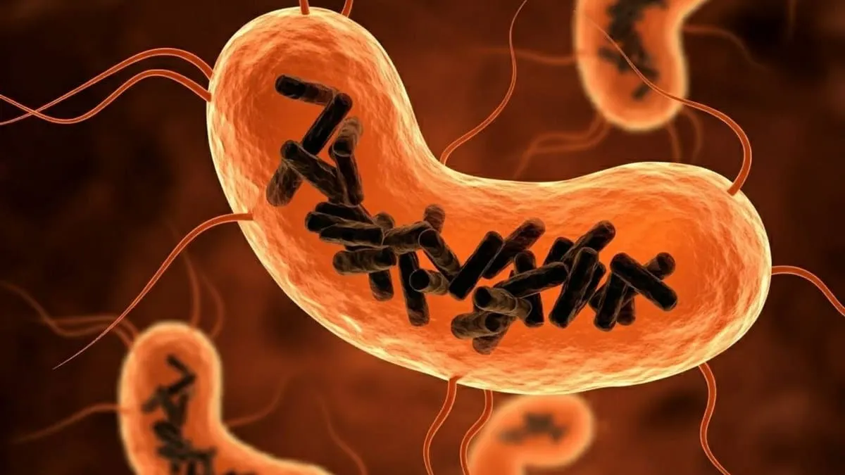 'Obelisco', un nuevo agente infeccioso cuyo genoma es más simple que el de los virus