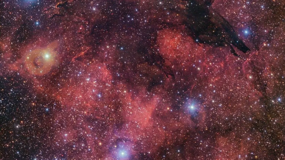 Un 'lobo oscuro' acecha en lo más profundo de una nebulosa, cerca del centro de la vía láctea