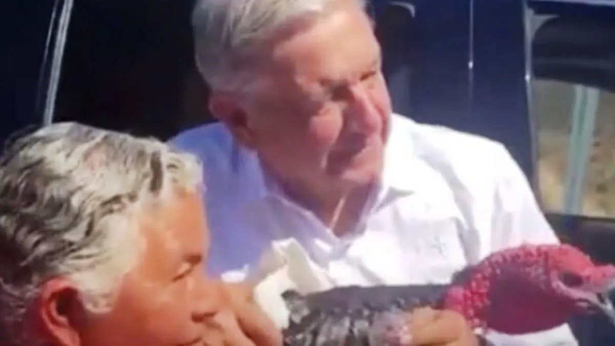 Pavo indultado por AMLO muere de forma natural en un santuario de aves en Morelos