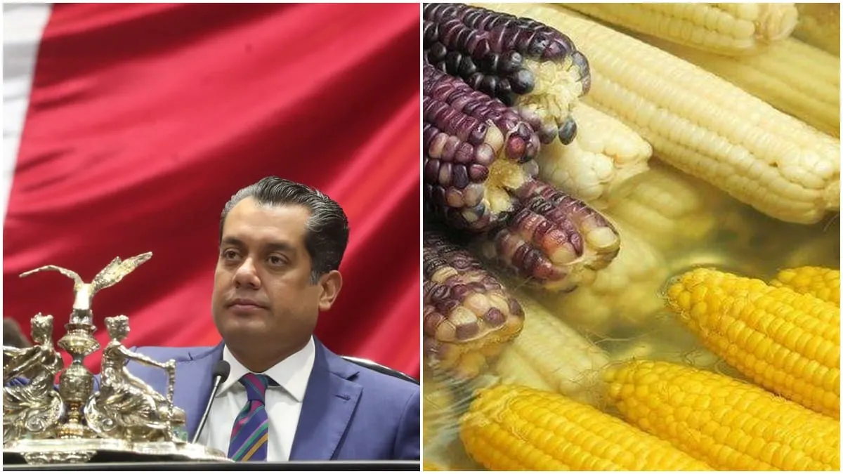 Cámara de Diputados recibe iniciativa de la Presidenta para prohibir siembra de maíz transgénico