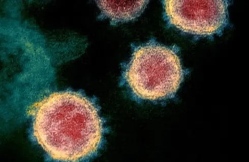 Gobierno de Acapulco descarta casos de metapneumovirus