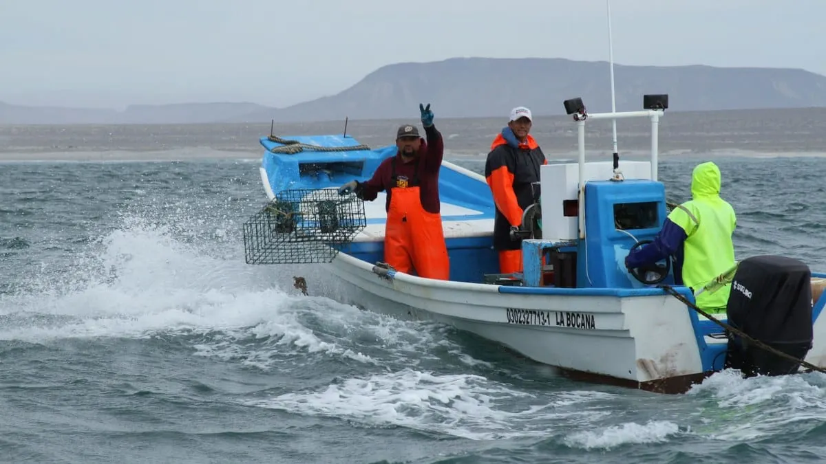 Agricultura anuncia los periodos de vedas y aprovechamiento de especies marinas en 13 estados