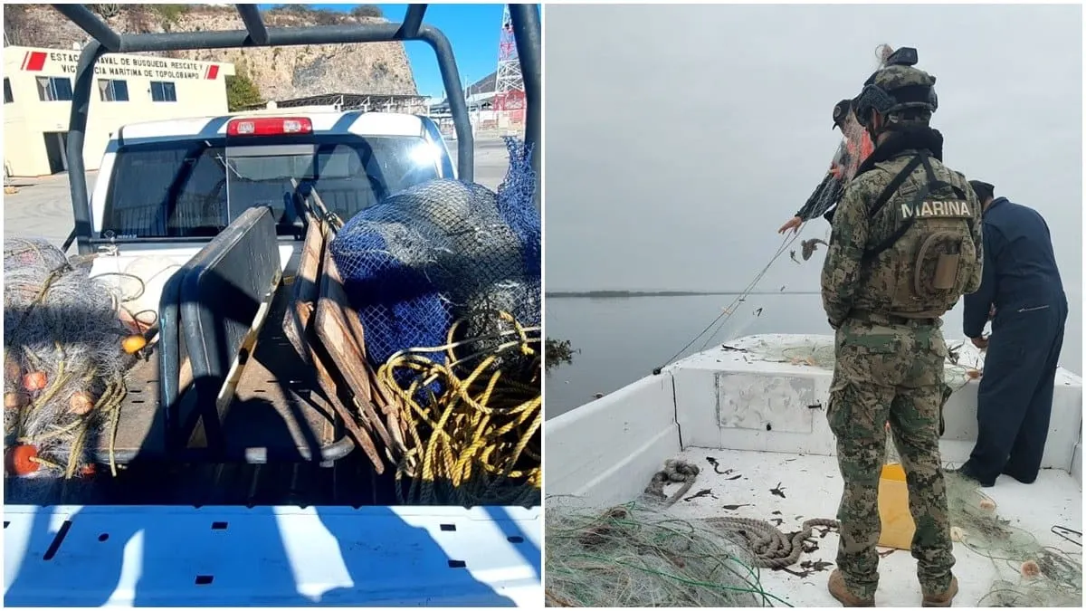 Sader y Marina retienen más de 86 toneladas de producto pesquero ilegal en 17 estados