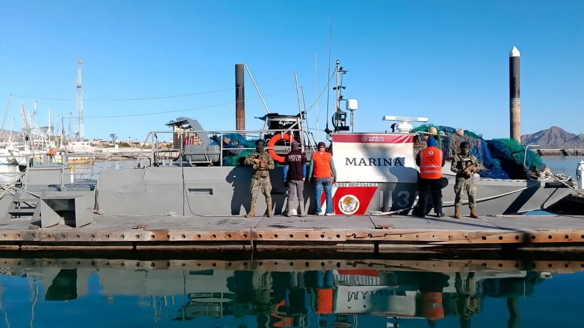 Gobierno retira redes ilegales y libera diez totoabas y dos tortugas en el Alto Golfo de California