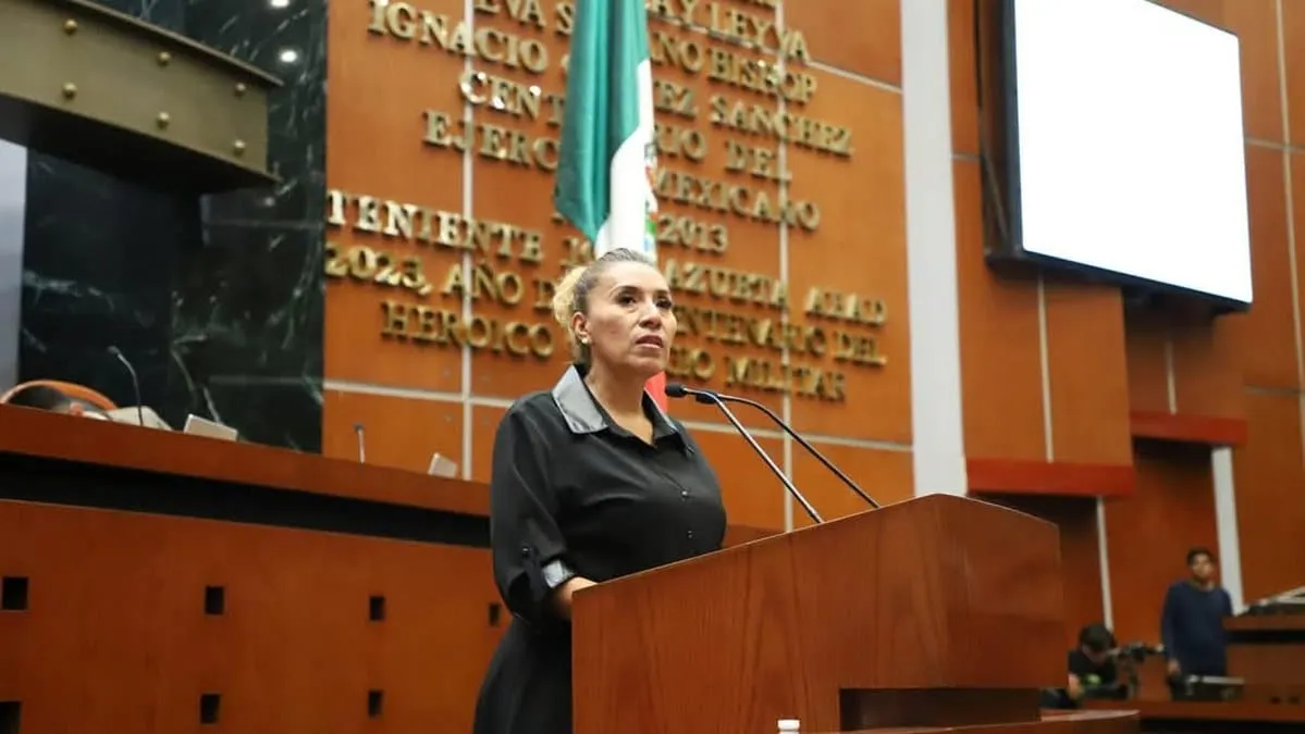 Fortalecer la protección y promoción de los derechos humanos, propone Araceli Ocampo