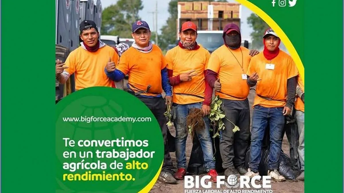 ¿Quién es Big Force, la empresa que contrataba jornaleros agrícolas en Guerrero?