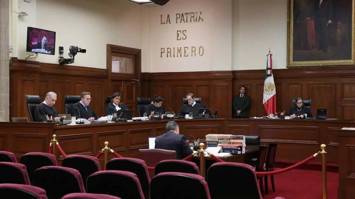 ¿Quienes pueden promover el voto en la elección judicial?