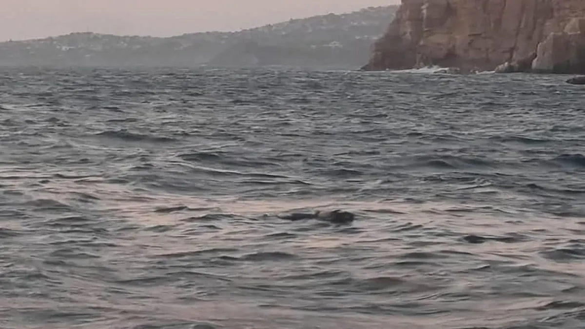Hallan cuerpo decapitado flotando frente a Sinfonía del Mar de Acapulco