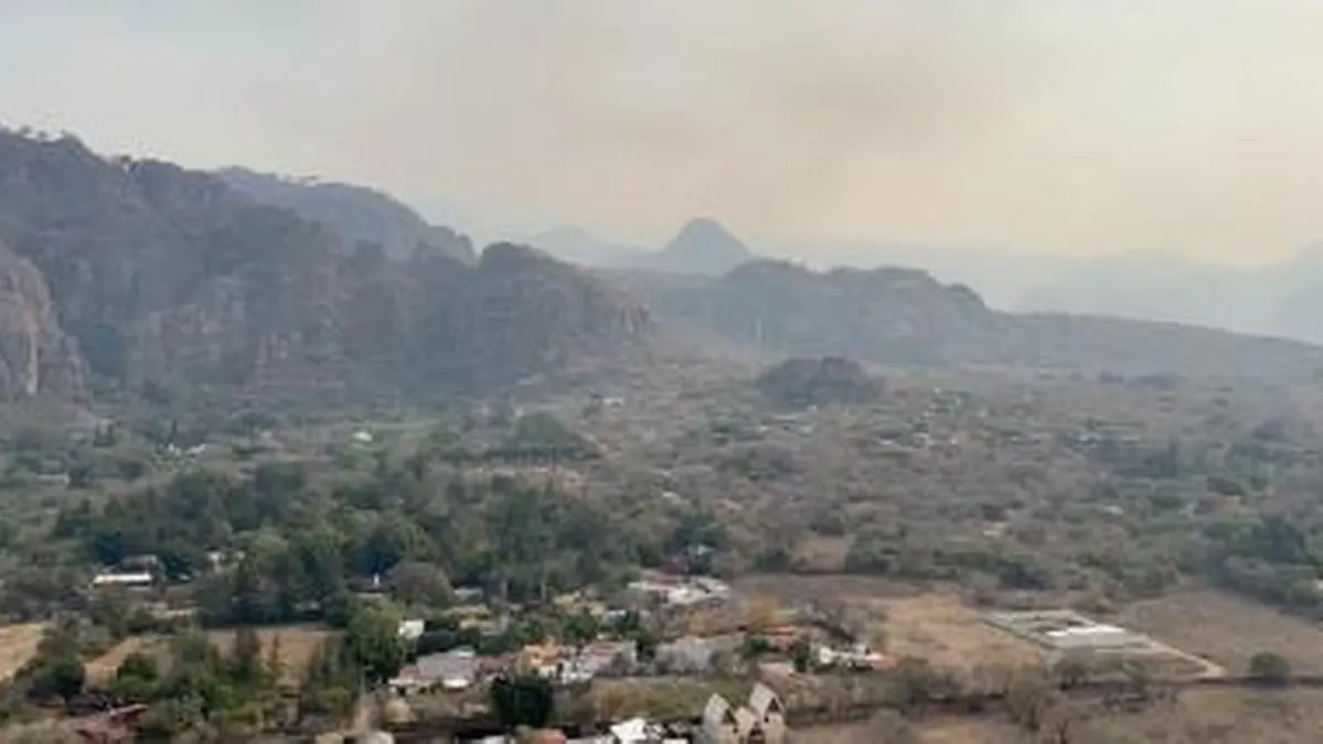 Suman 1,467 hectáreas afectadas por incendios forestales en Morelos