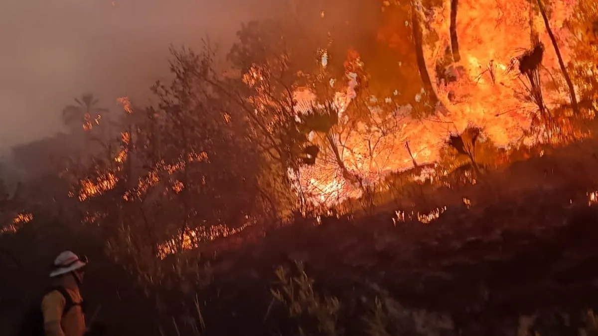 Incendio en Chilpancingo afecta 50 hectáreas; fue causado por quema de basura