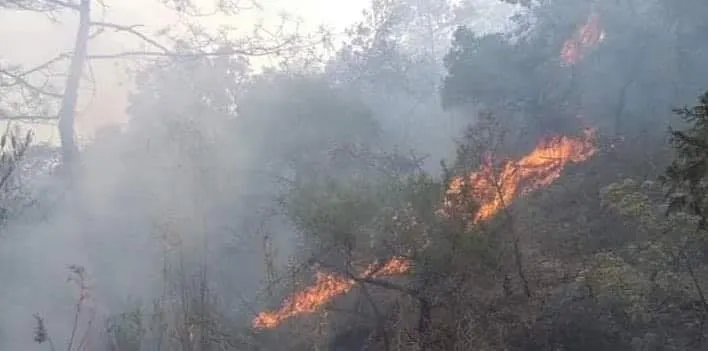 Fallece brigadista forestal durante combate de incendio en Guerrero