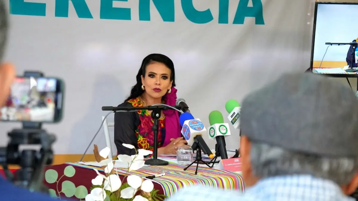 Admite Norma Otilia que se reunió con líder criminal para apaciguar violencia en Chilpancingo