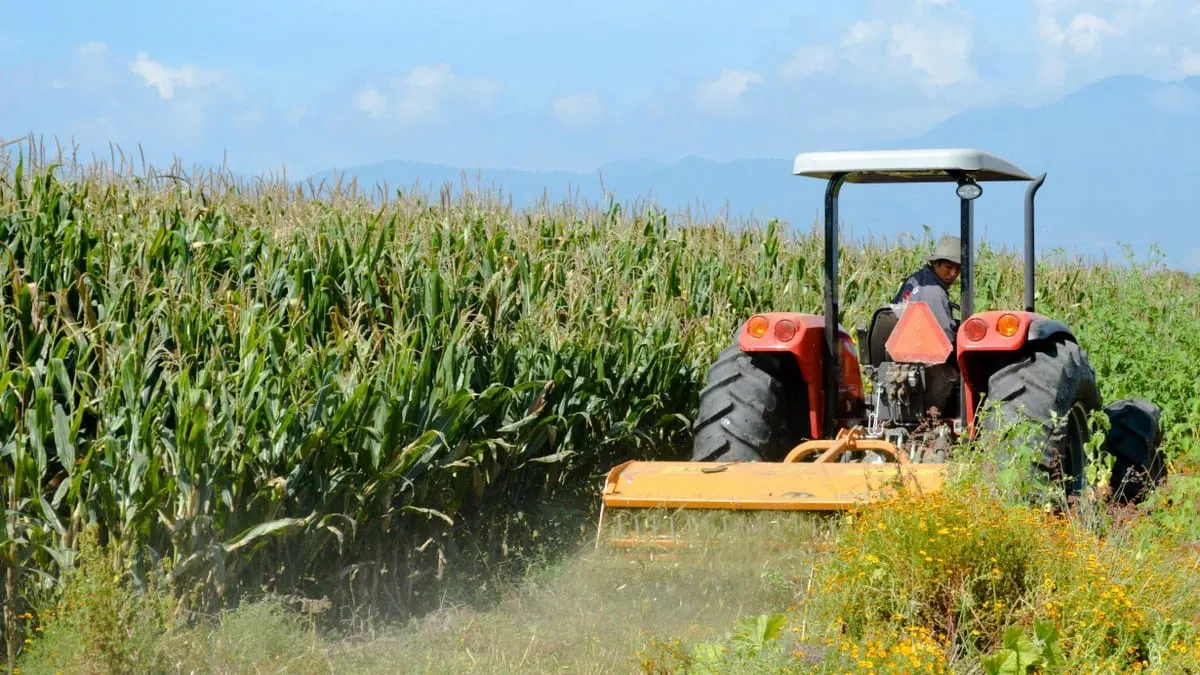 Agricultura mexicana.