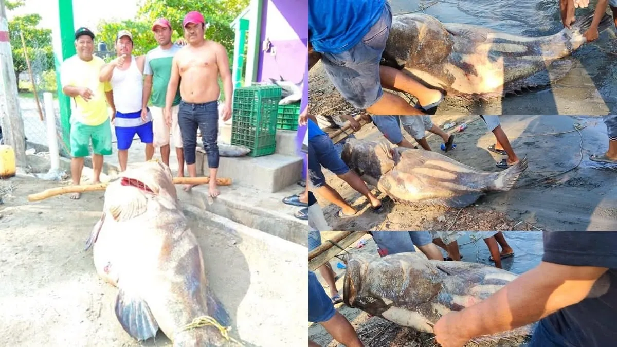 Pescadores preocupados por posible sanción.