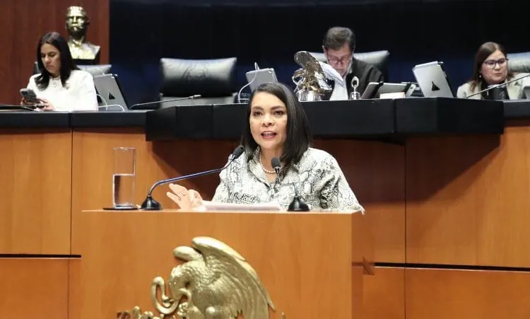 Redadas en EU afectan a niños y separan a familias migrantes: Beatriz Mojica Morga