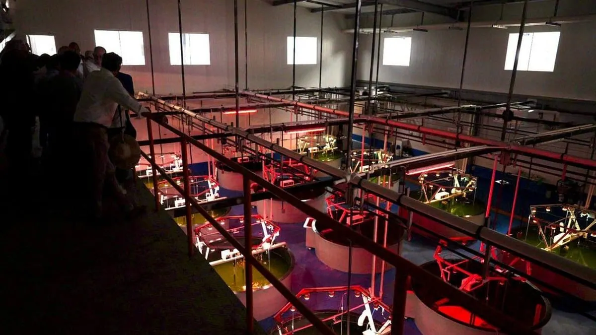 Pesca y acuacultura, prioridades del nuevo gobierno federal: Secretaría de Agricultura