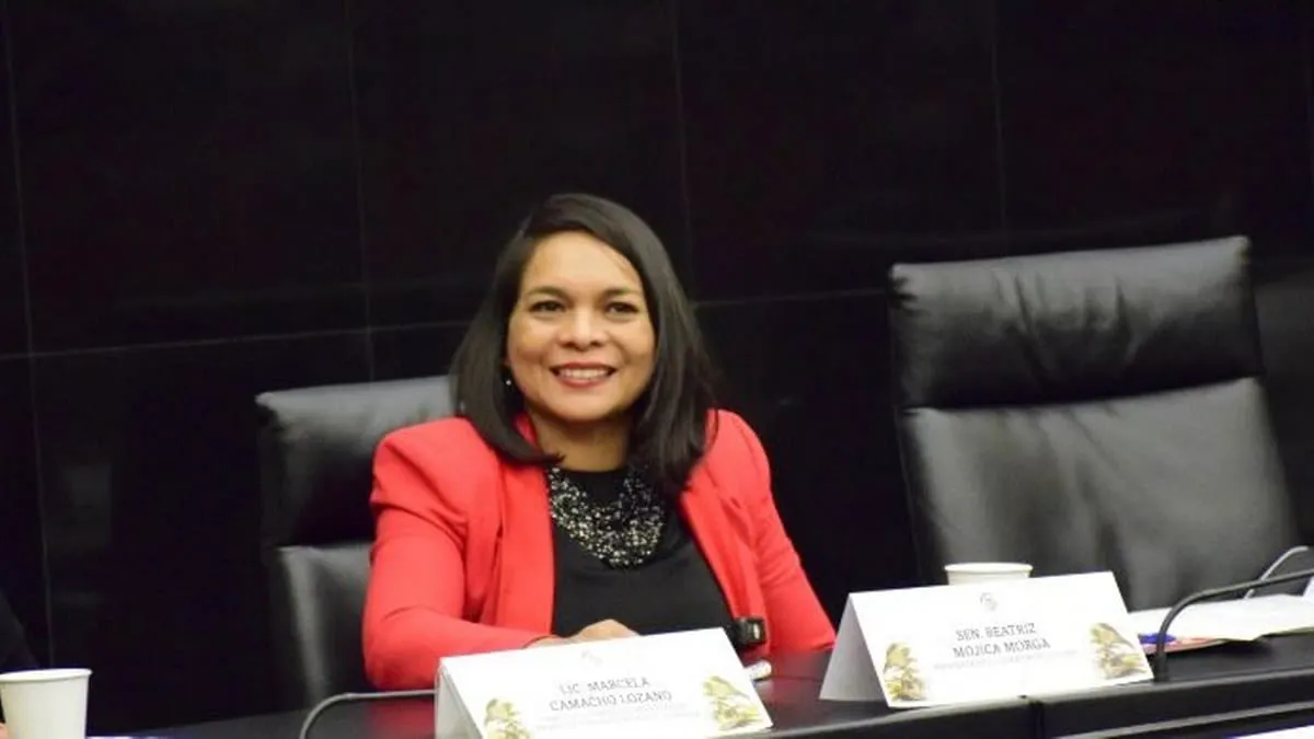 Beatriz Mojica propone programa de vivienda para afromexicanos de la Costa Chica