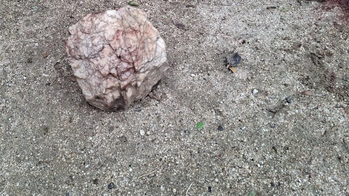 Hallan cuerpo lapidado y torturado en la zona rural de Acapulco