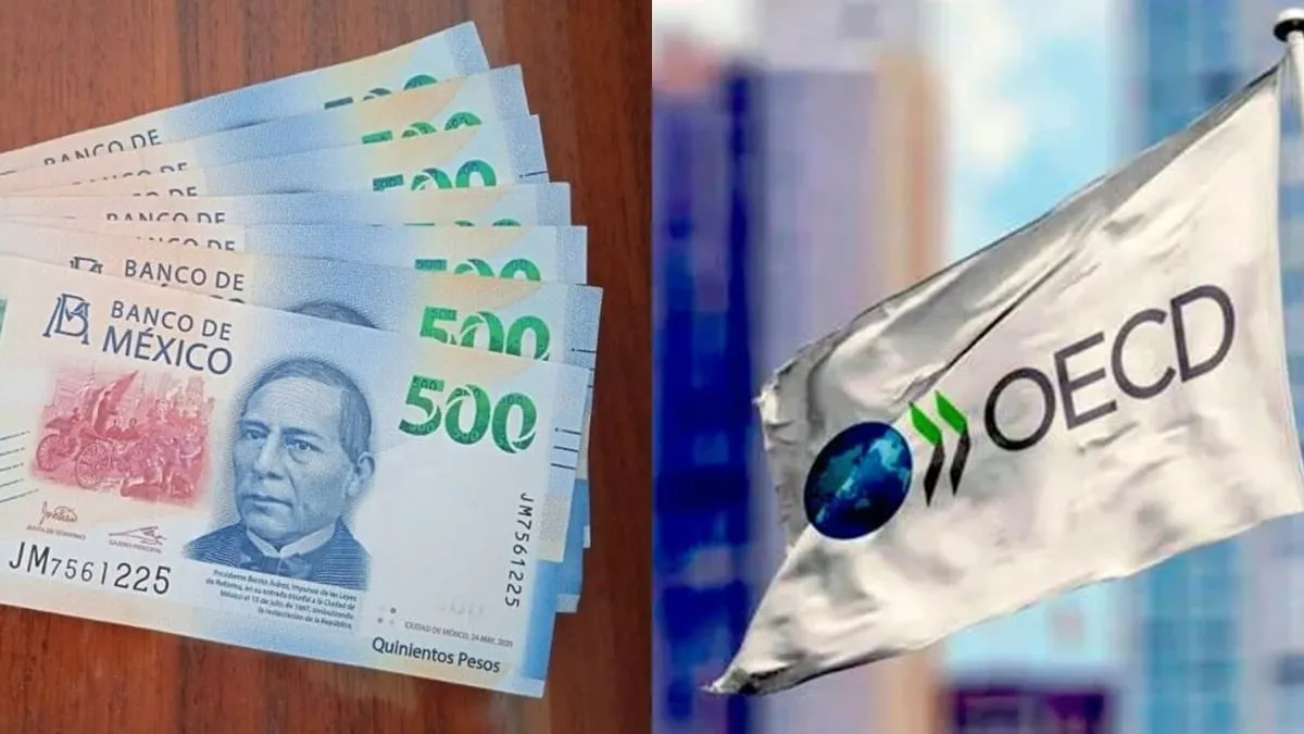 "Las exportaciones se verán lastradas por los aranceles", prevé.