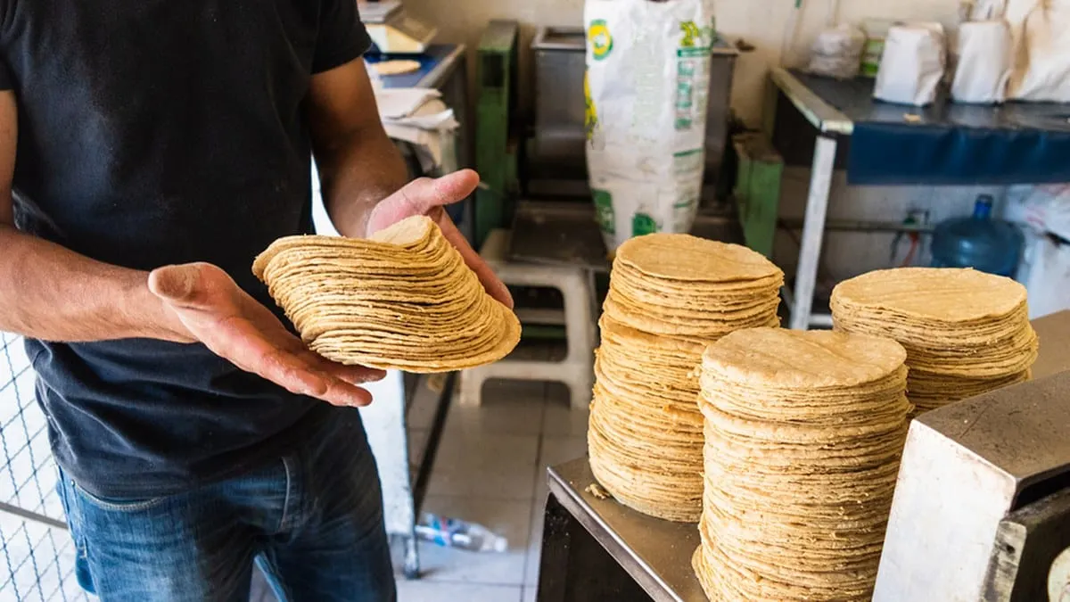 Tortillas, reducción gradual del precio.