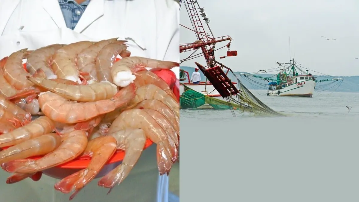 Pesca, periodos de veda.