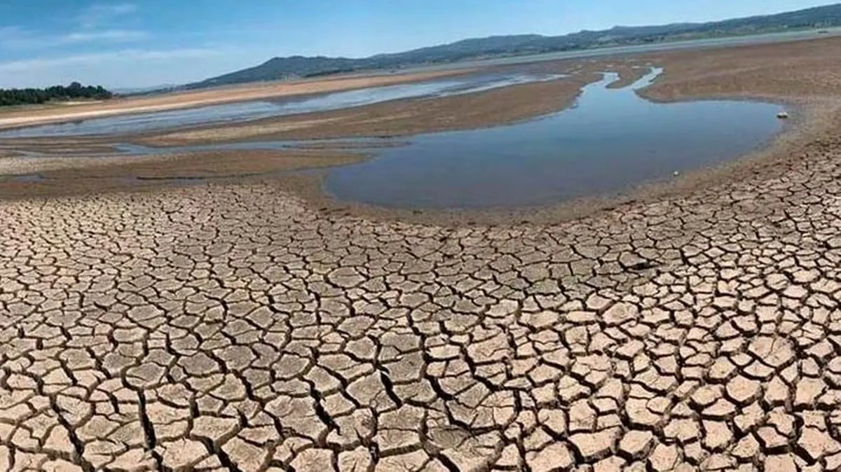 ONU advierte de daños humanos y económicos sin precedentes entre 2023 y 2025 por sequía global