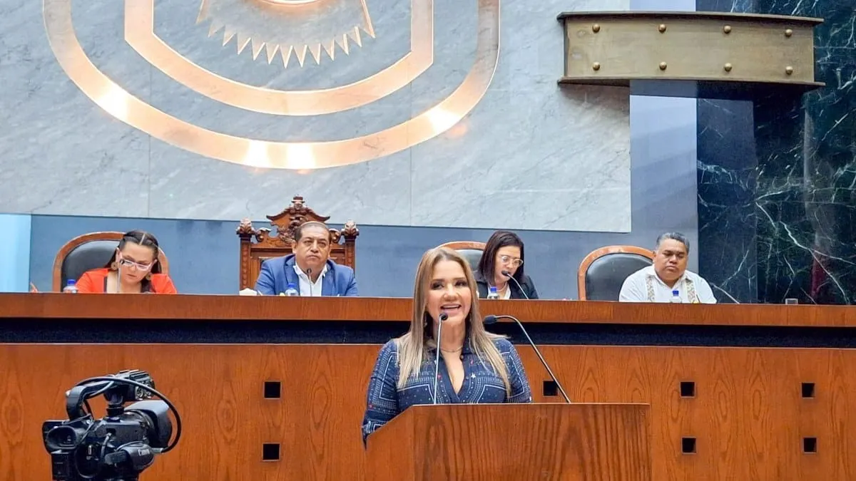 Regular espacios publicitarios, propone en exhorto diputada Erika Lührs