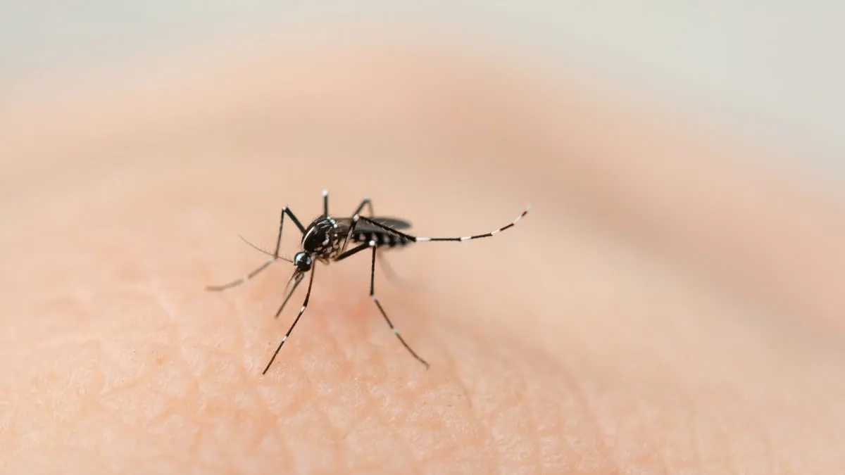 Guerrero entre los 5 estados con más dengue; suman cinco defunciones