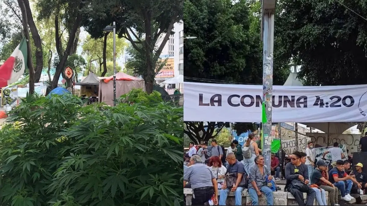 Gobierno de Clara Brugada cambia de lugar fumaderos tolerados de mariguana en la CDMX