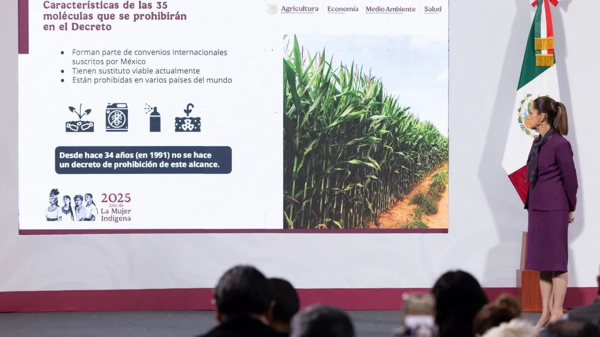 México prohíbe 35 plaguicidas peligrosos en una medida histórica, dice titular de Sader