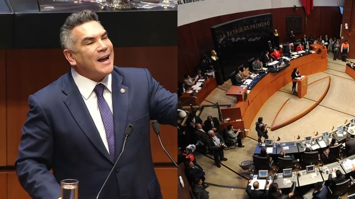 El Senado se polariza: quitan a "Alito" de la Comisión de Marina y desatan la polémica