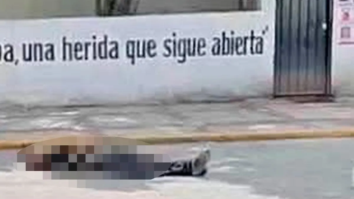 Asesinan a joven a balazos frente al Parque Margarita Maza en Chilpancingo