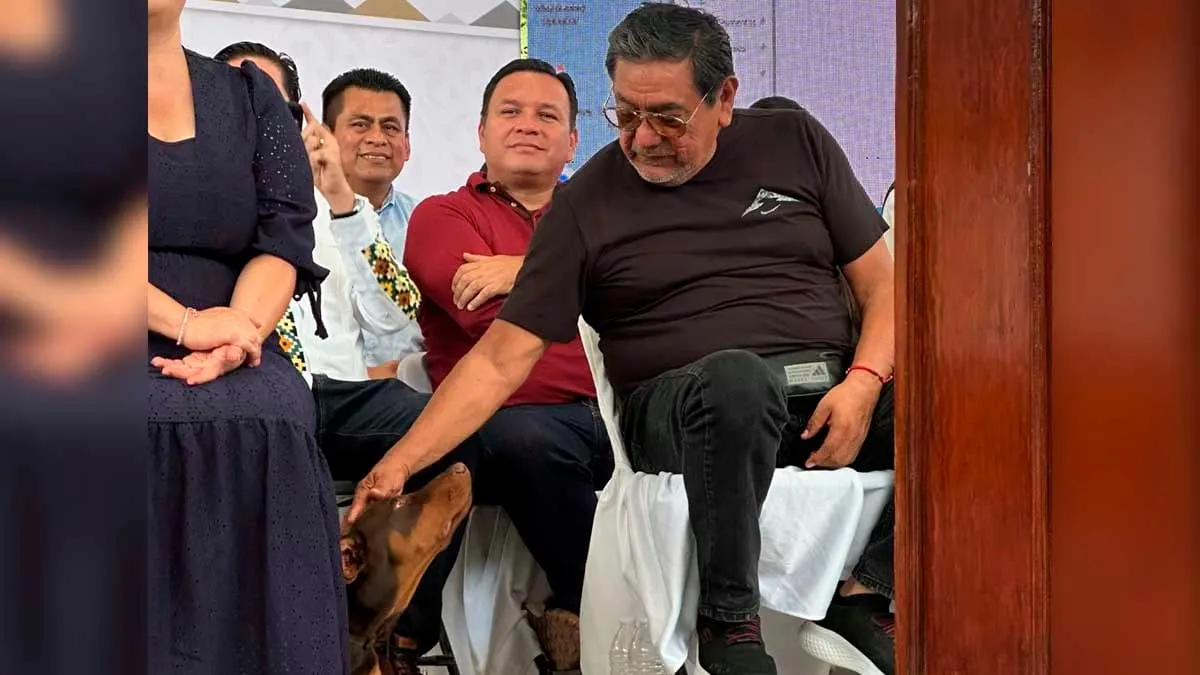 Yo no soy chapulín, me quedo en Morena: Félix Salgado