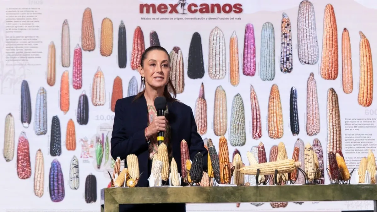 Sheinbaum anuncia plan para abrir tortillerías federales y blindar la soberanía alimentaria