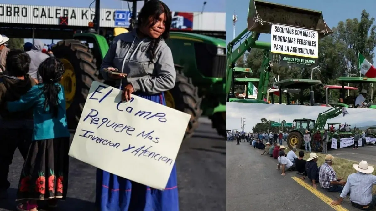 Productores agrícolas rompen con la 4T y advierten: "o precios justos, o la lucha arreciará"