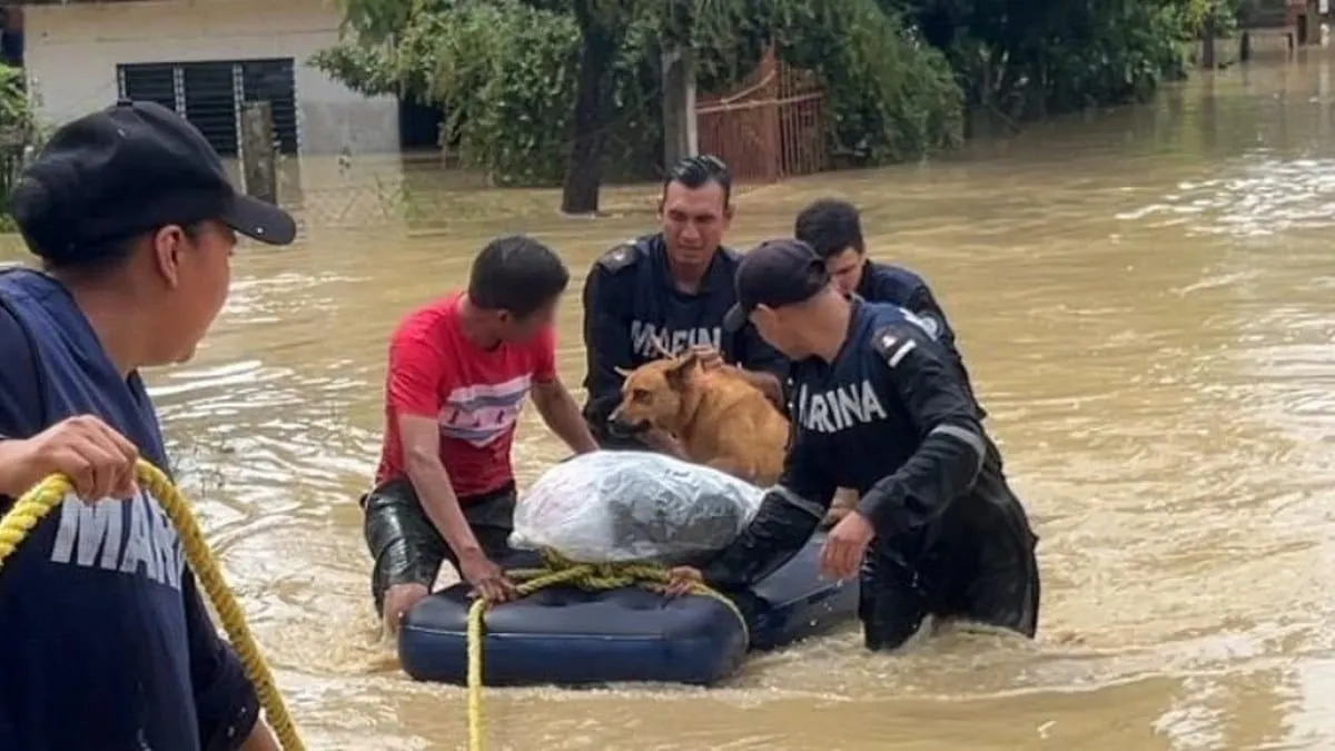 Raymond y Priscilla dejan 37 muertos y miles de damnificados en México