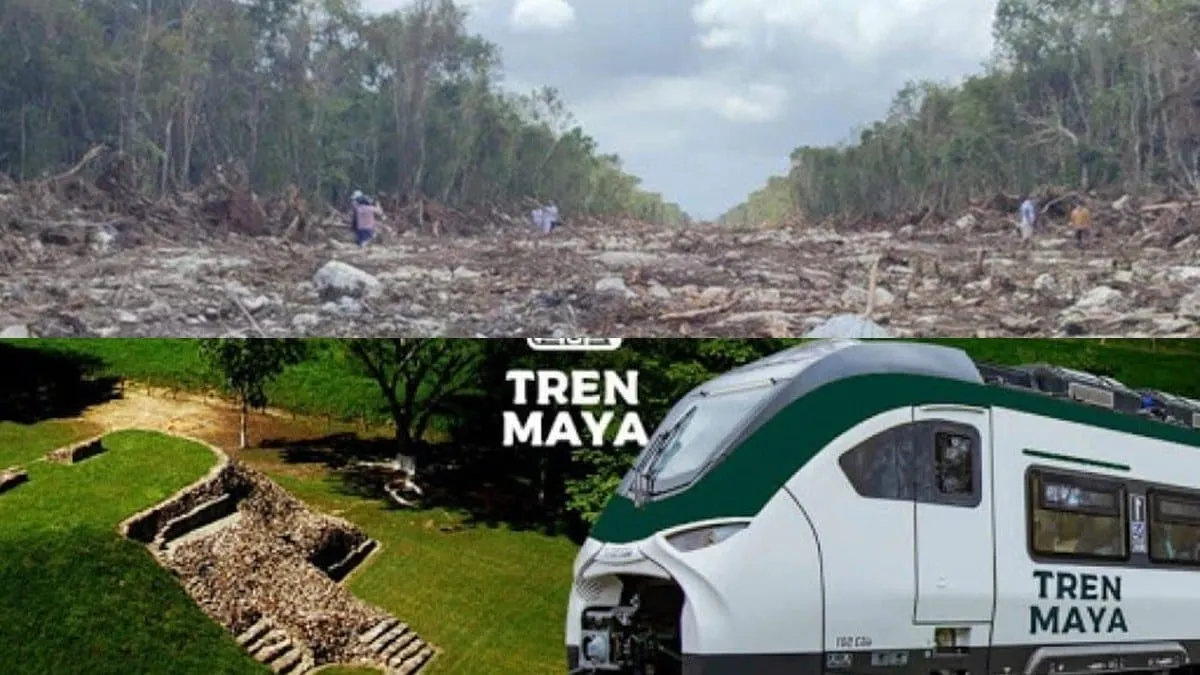 Semarnat admite daño del Tren Maya y promete "regularizar" la obra tras millones de árboles talados